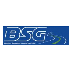 BSG Börgitzer Spedition