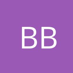 Berger Bau- und Fassadenbetrieb GmbH