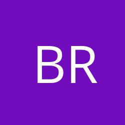 BFV Recycling GmbH