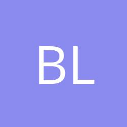 BRL-Logistics BV