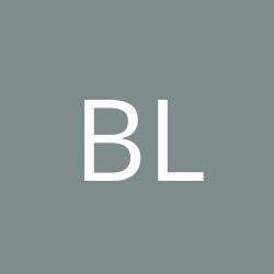 BSL Logistic GmbH