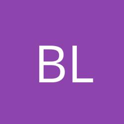 Burger Logistics Srl