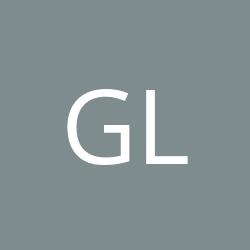 GDS Logistik GmbH