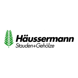 Häussermann Stauden + Gehölze GmbH