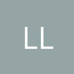LDI Logistik & Dienst- leistungen GmbH