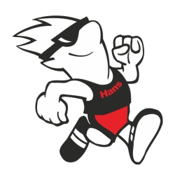 Schnellhans GmbH & Co KG