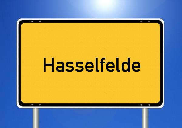 Stellenangebote Berufskraftfahrer Hasselfelde