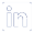 Icon LinkedIN