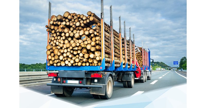 Holztransporter zur Beförderung von Hölzern